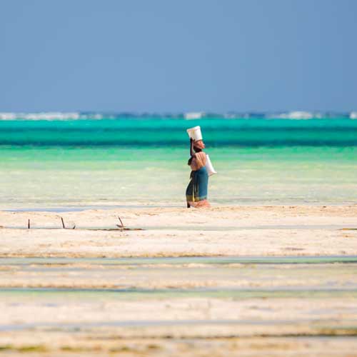 scenery 4