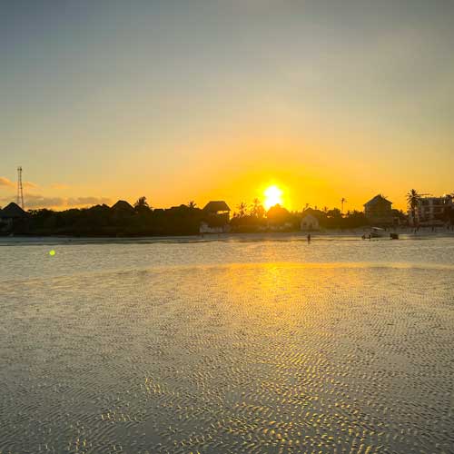 scenery 6